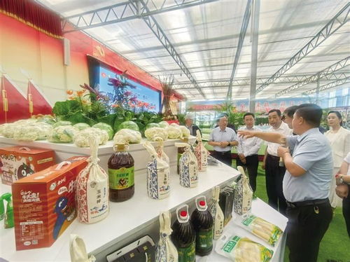 2025中國(guó)榆中高原夏菜新品博覽會(huì)盛大開(kāi)幕，1087個(gè)新品種引領(lǐng)農(nóng)業(yè)創(chuàng)新