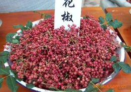 萊蕪市萊城區(qū)嘉譽(yù)農(nóng)副產(chǎn)品購(gòu)銷中心調(diào)味香料與特色農(nóng)副產(chǎn)品全覽