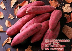 深圳農(nóng)副產(chǎn)品配送專家 宏鴻禽蛋農(nóng)副產(chǎn)品配送廠家的服務(wù)與價(jià)值